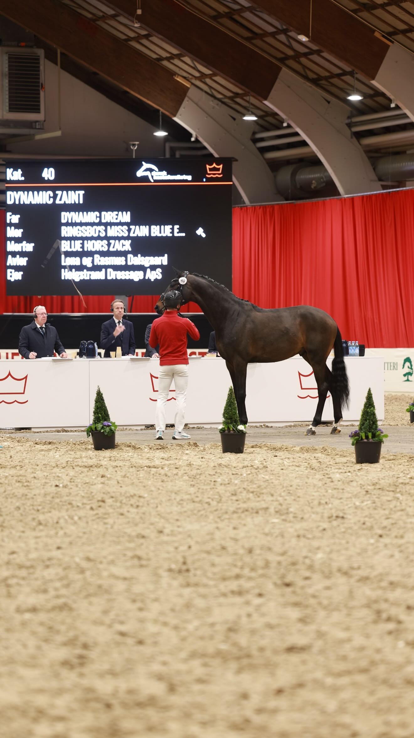 Congratulations to the proud breeders of our two approved