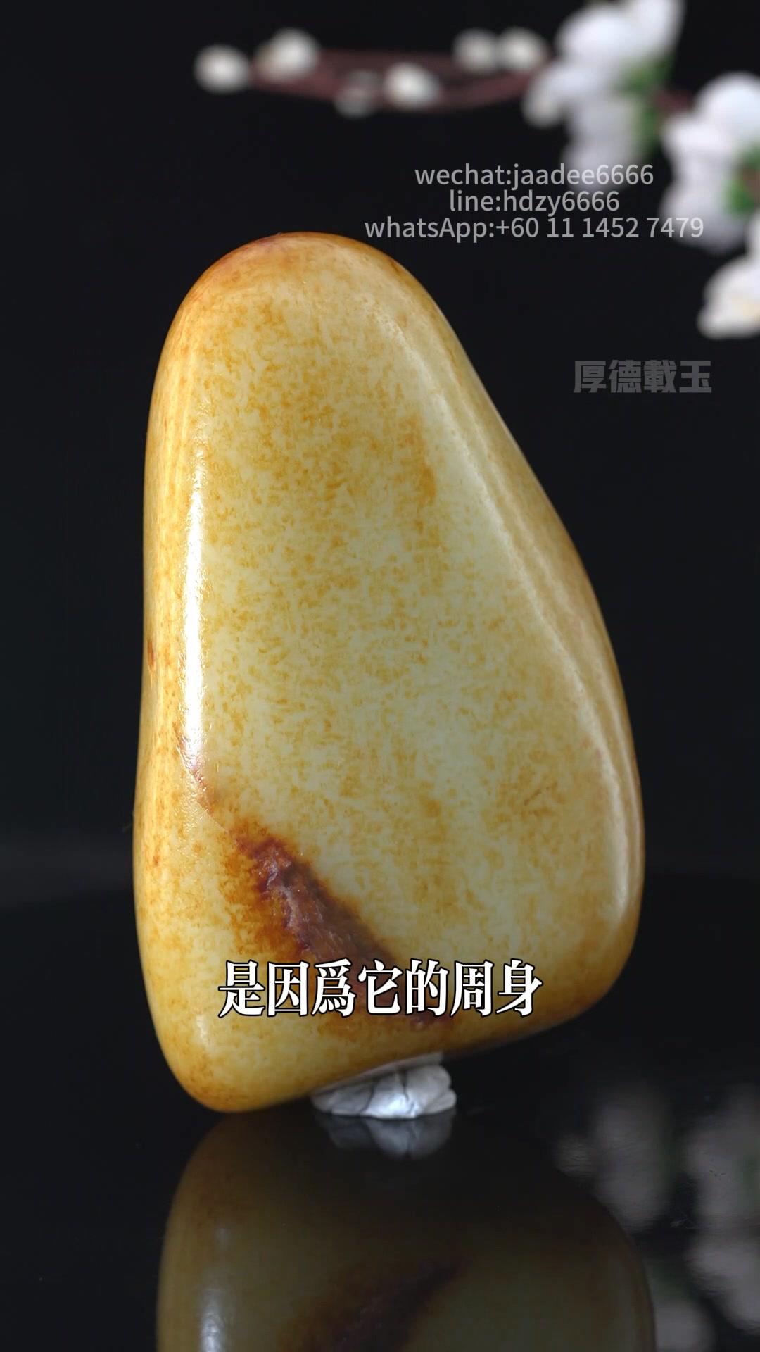 周身都是洒金皮包裹，泛色度非常好，灯泡料，肉质紧凑，不管做作料还是