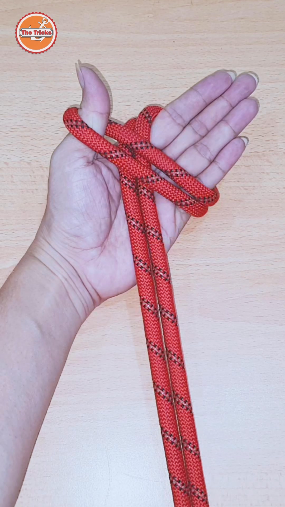 Knots rope tip diy at home ep2578 🇺🇸🪢 #knots #reels #trending #trend # ...