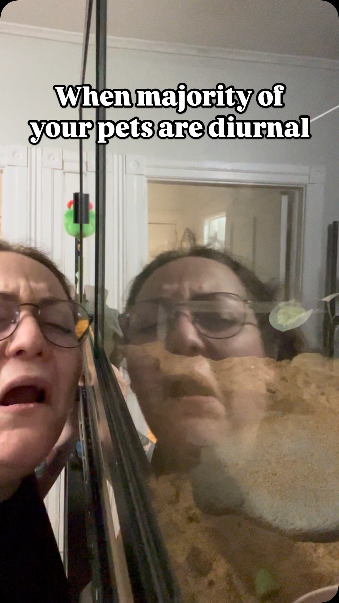 Picture of A Shedding Chance Reptile Rescue