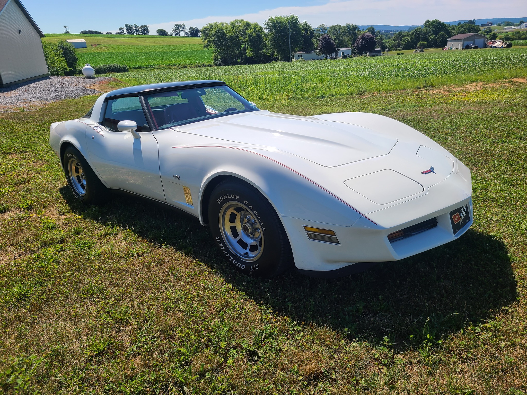 Sitemapcdatahttpsmai2dreferenzcomwhite Corvettes For Sale