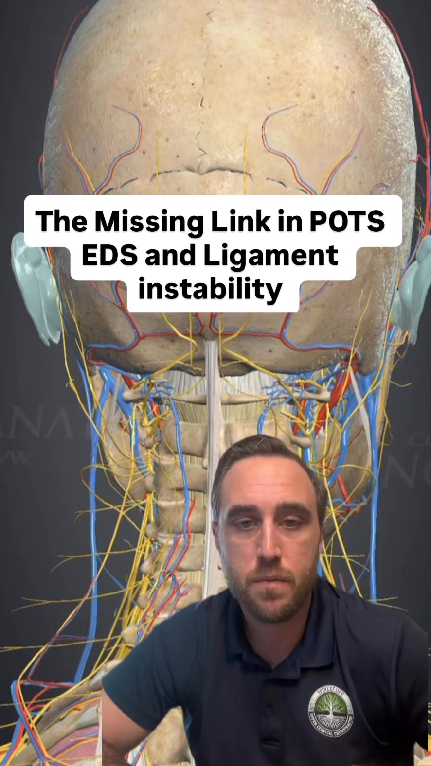 Recently diagnosed with POTS? Upper Cervical care is an excellent way ...