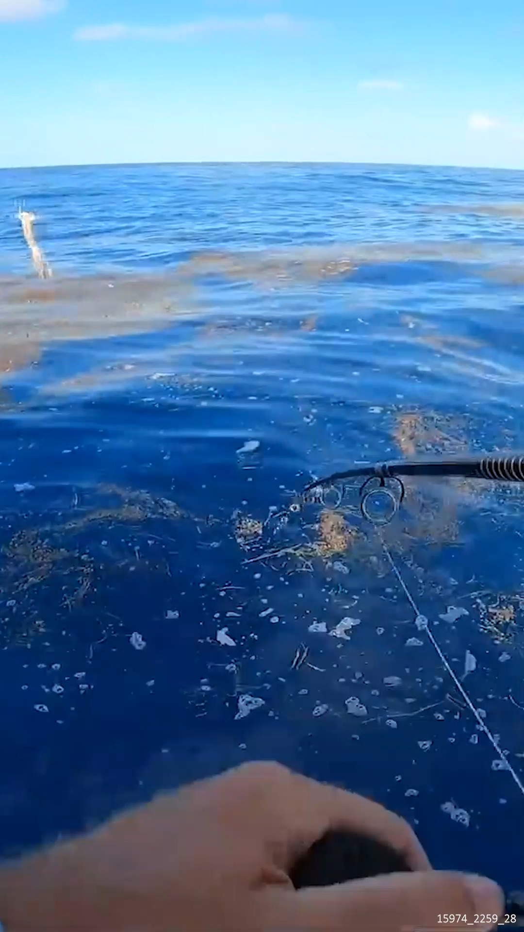 Reeling in a Fish AND Something Else... | South Florida Fishing Channel ...