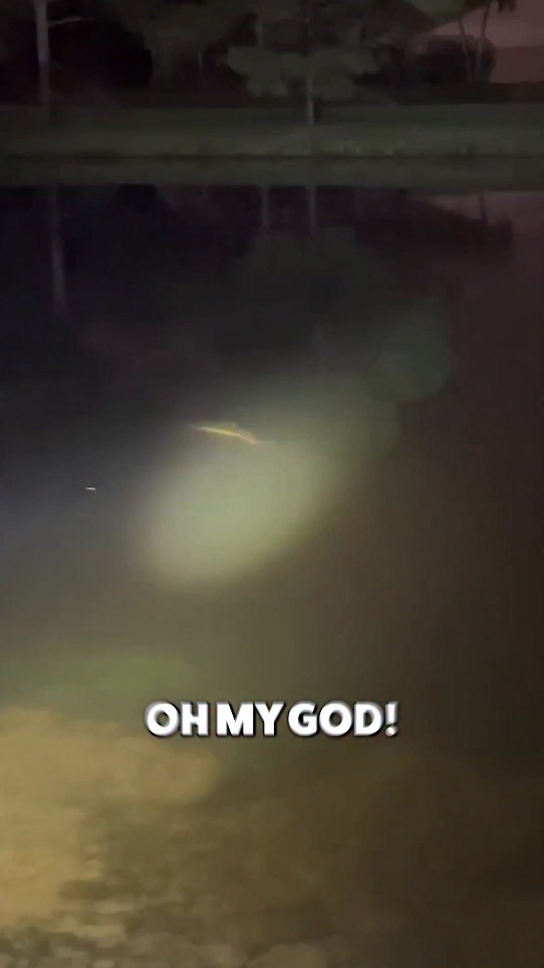 42 inches of pure fishing excitement! #RedtailCatfish # ...