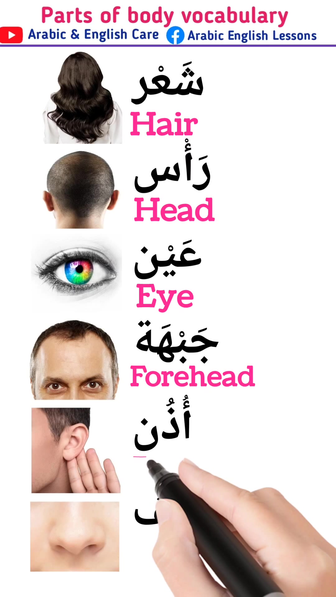 Parts of body names in Arabic and English #speakarabic # ...