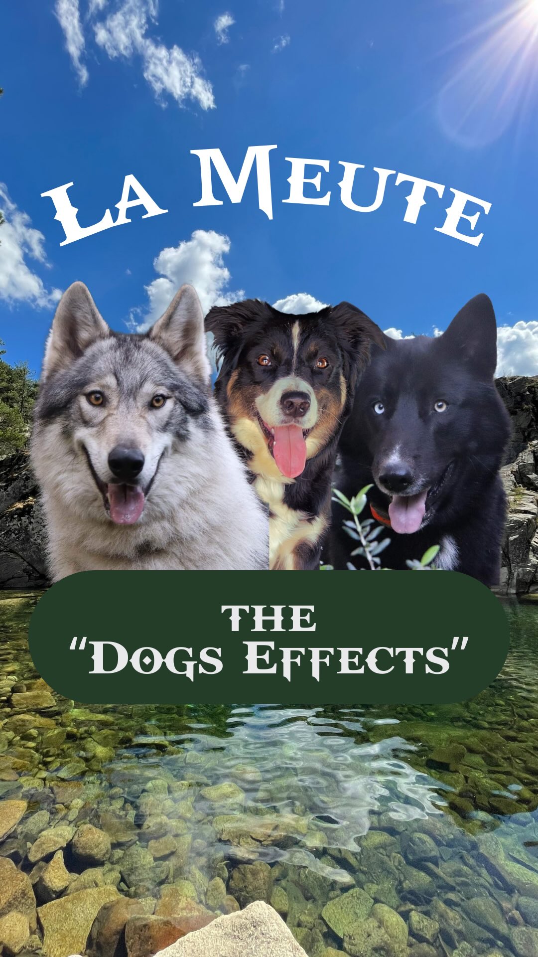 the « Dogs Effects » 😂🐺🤍😭 Ça vous fait le même effet ?? 😂 #humour #dog ...