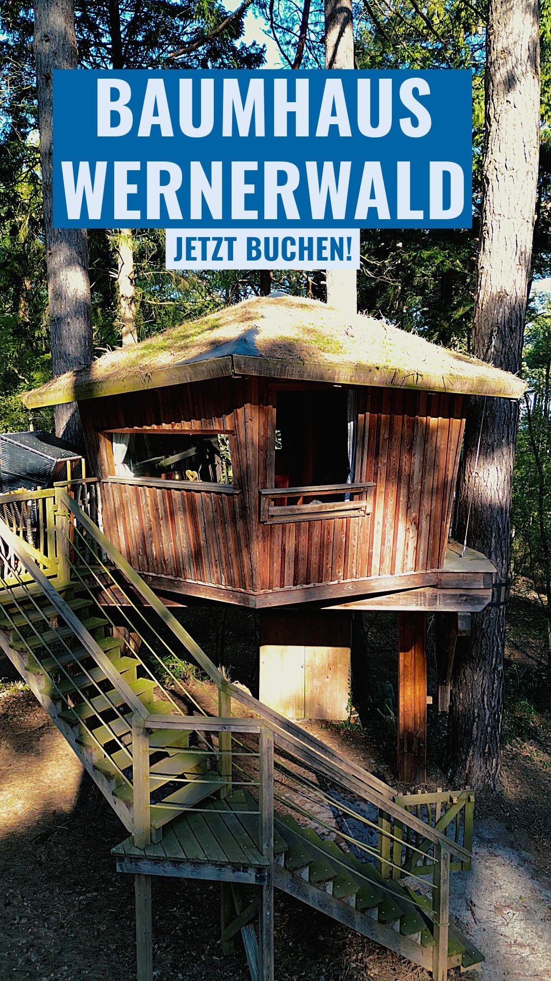 ausziehbare markise Homgoday Seitenmarkise Ausziehbar Seitenrollo Ausziehbar Sonnenschutz Sichtschutz Seitenwand, Blickdicht, Wandmakise für Balkon Terrasse Garten Anthrazit 120x500 cm seiko gear 5 watch size:10