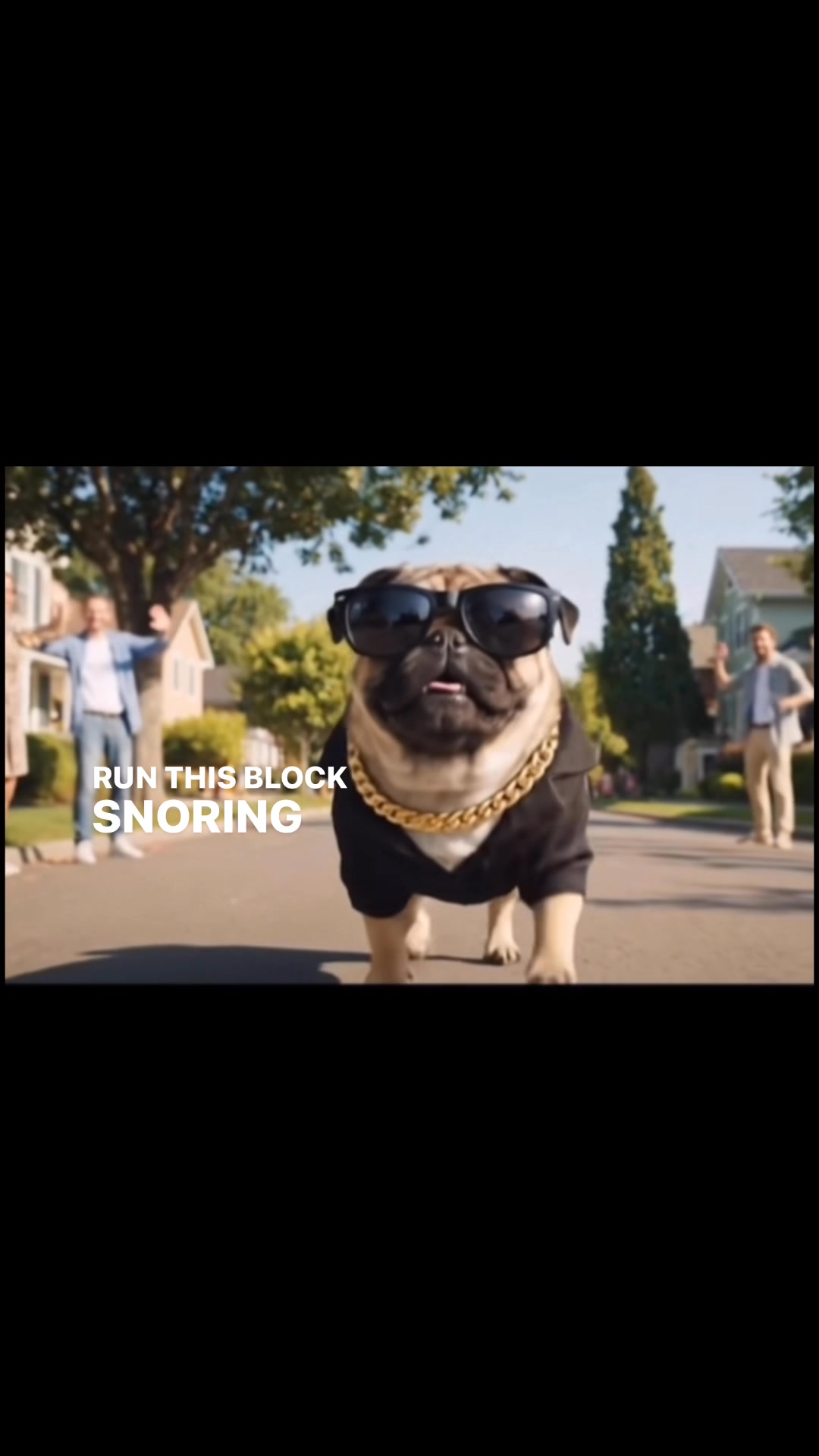 Thug pug Friday song #rap #pug #puglife #rappug #rapper 😻🌸😻🌸😻🌸 ️ | Pug ...