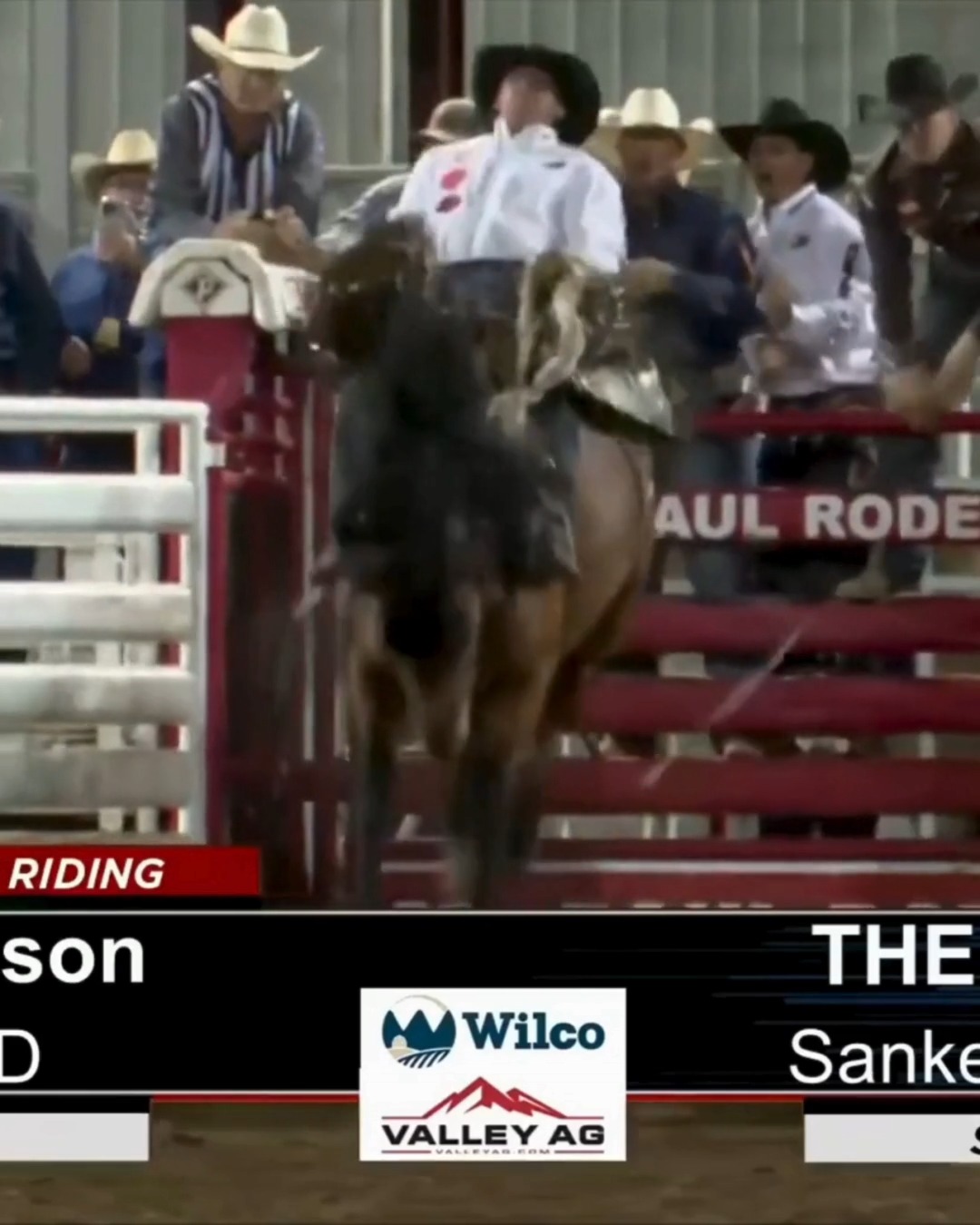 A big ride on one of the best horses in ProRodeo put Cash Wilson right ...