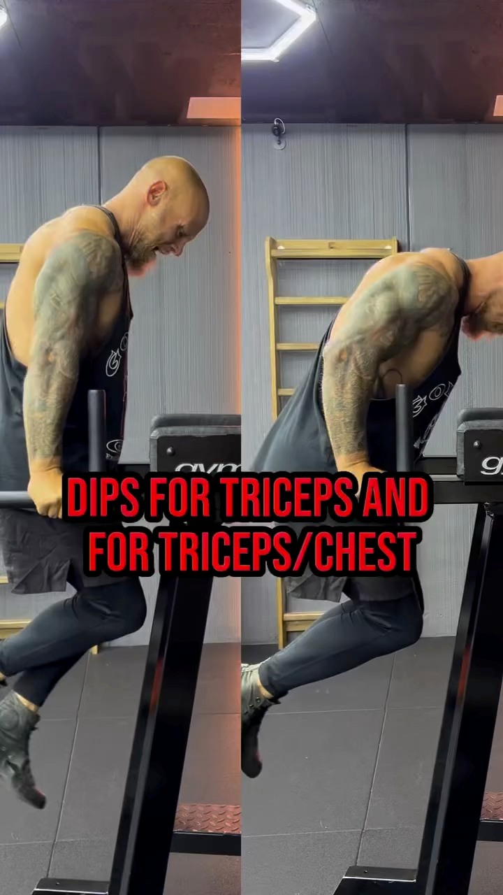 Dips are one of the best bodyweight exercises for building upper body ...