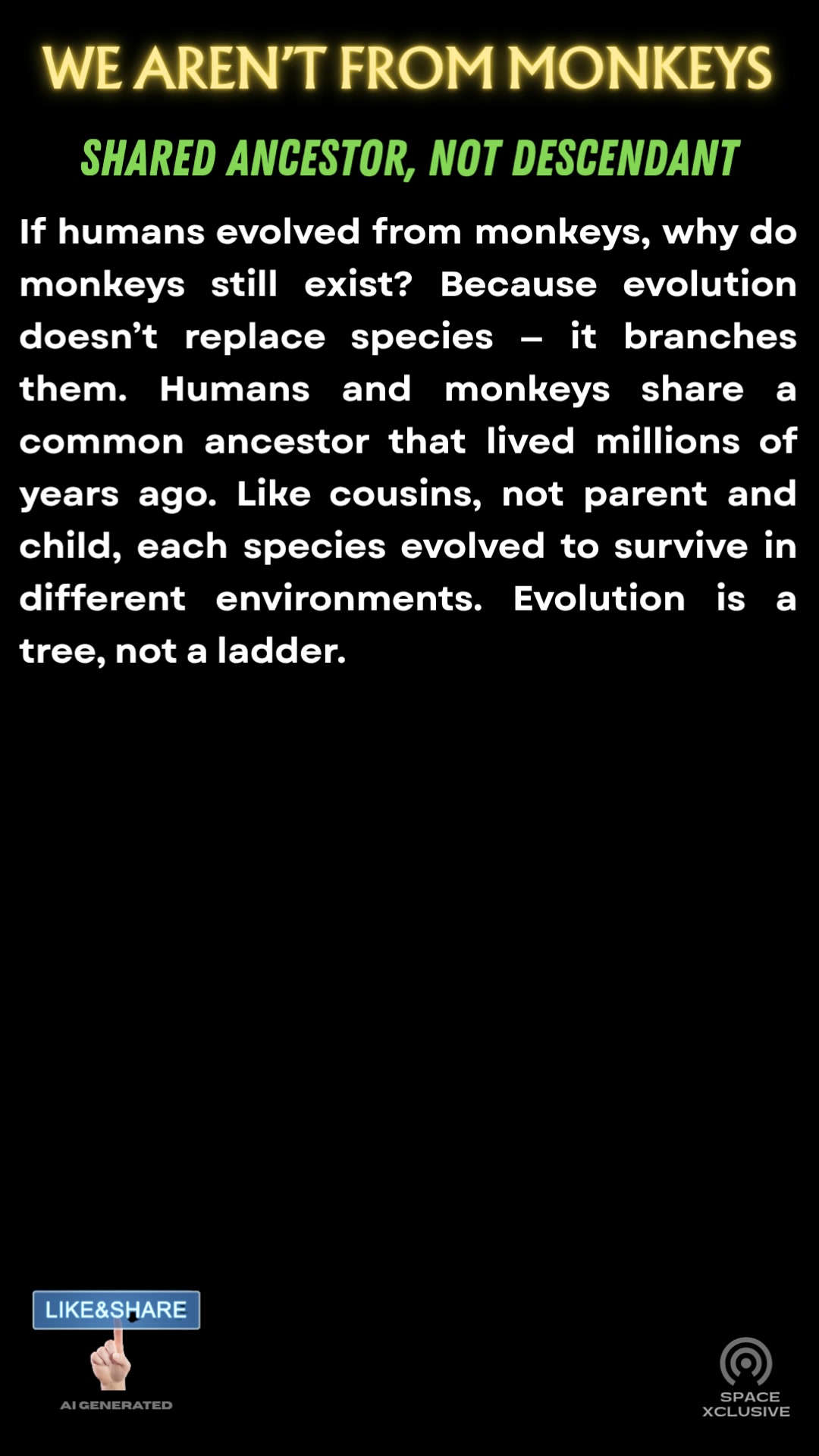 Did You Know Humans Never Evolved From Monkeys? If humans evolved from ...