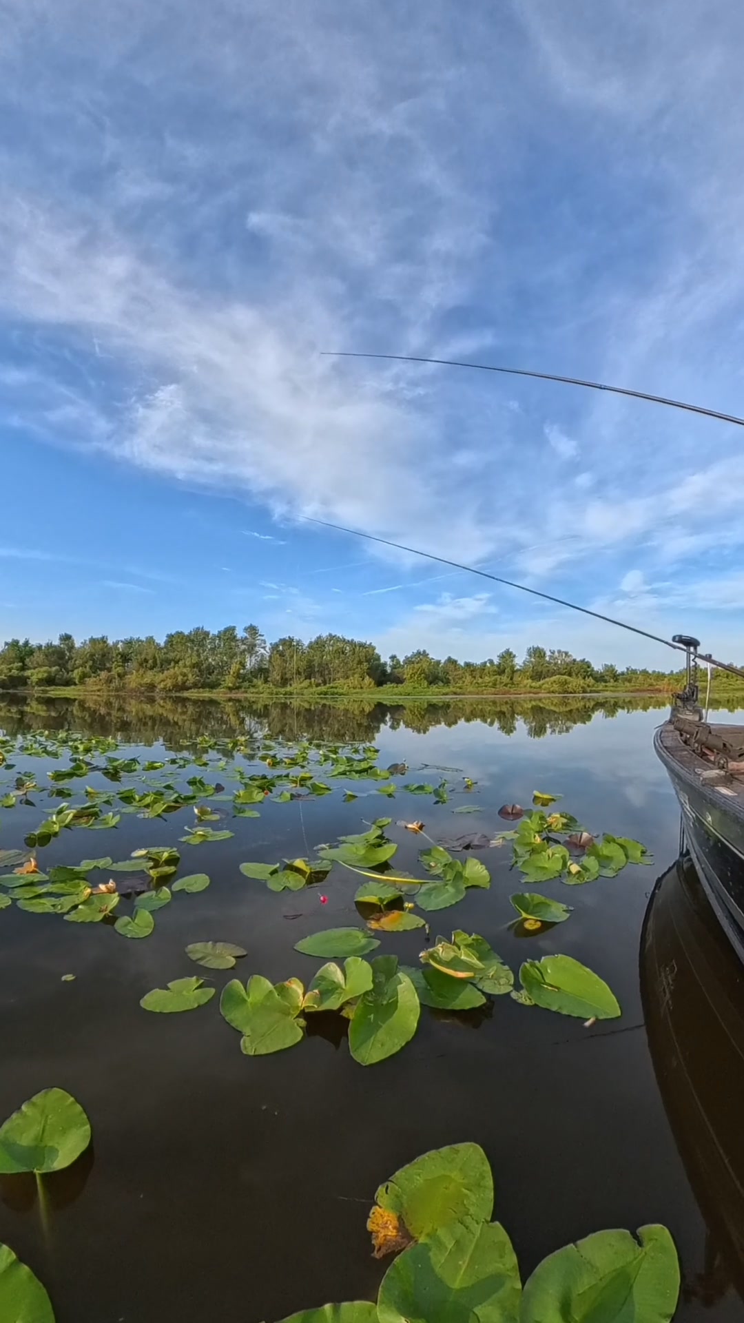 60 IN THE BOX!!! #shellcracker #fishing #floridafishing | Branden Scott ...