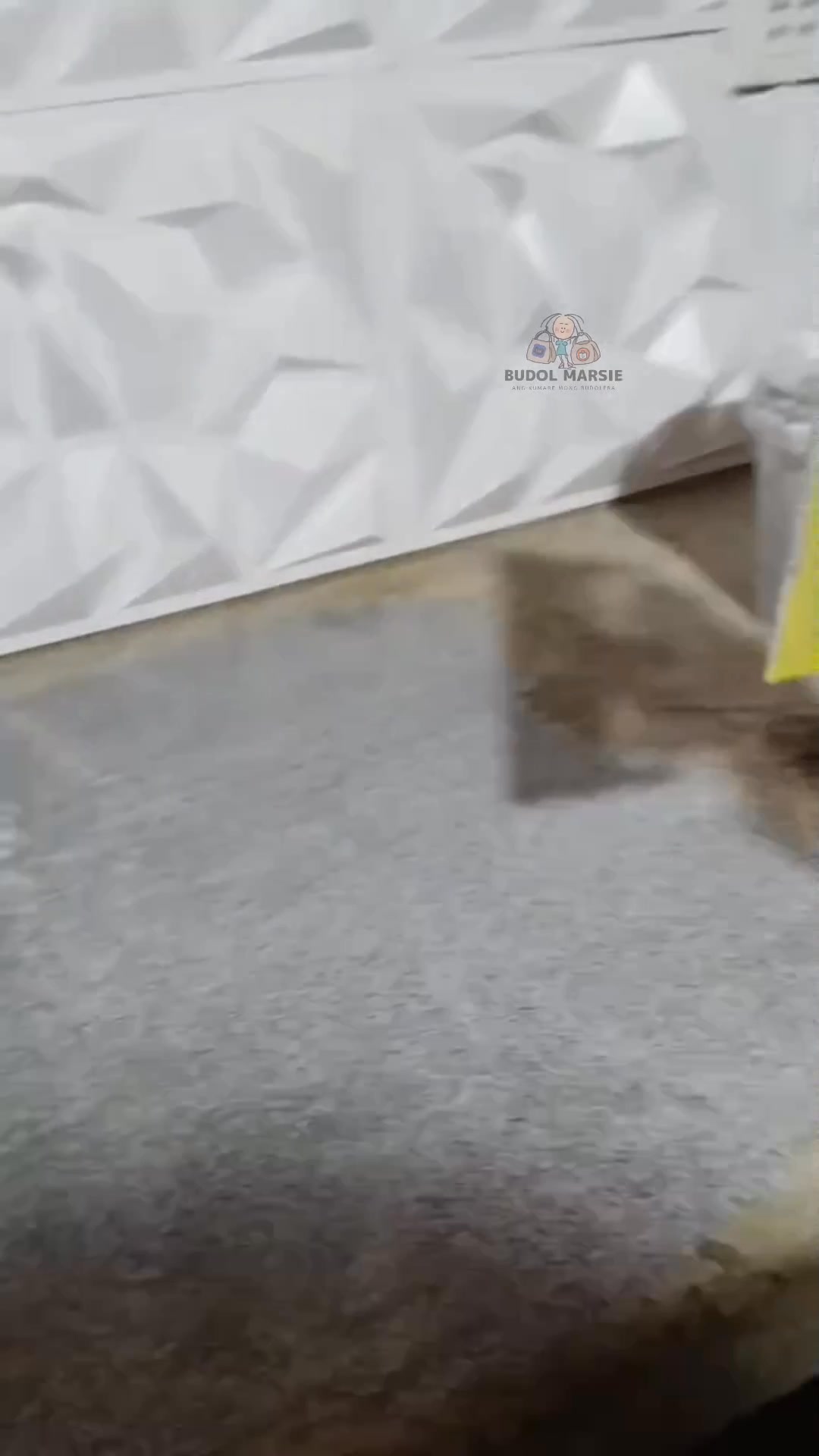 🔸 𝗦𝗵𝗼𝗽𝗲𝗲 - https://s.shopee.ph/7piVq7X2UI 🎶 𝗧𝗶𝗸𝘁𝗼𝗸 - https://vt.tiktok ...