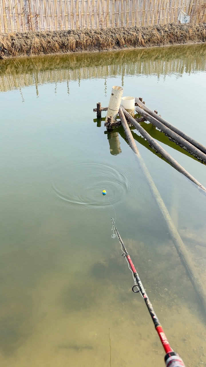 abu pro max spinning combo MAXPROSP30/701MFSCBO Blade Combination:Gold Colorado/Silver Willow Daiwa Lexa 500 HD sym frame design along Musky Lure