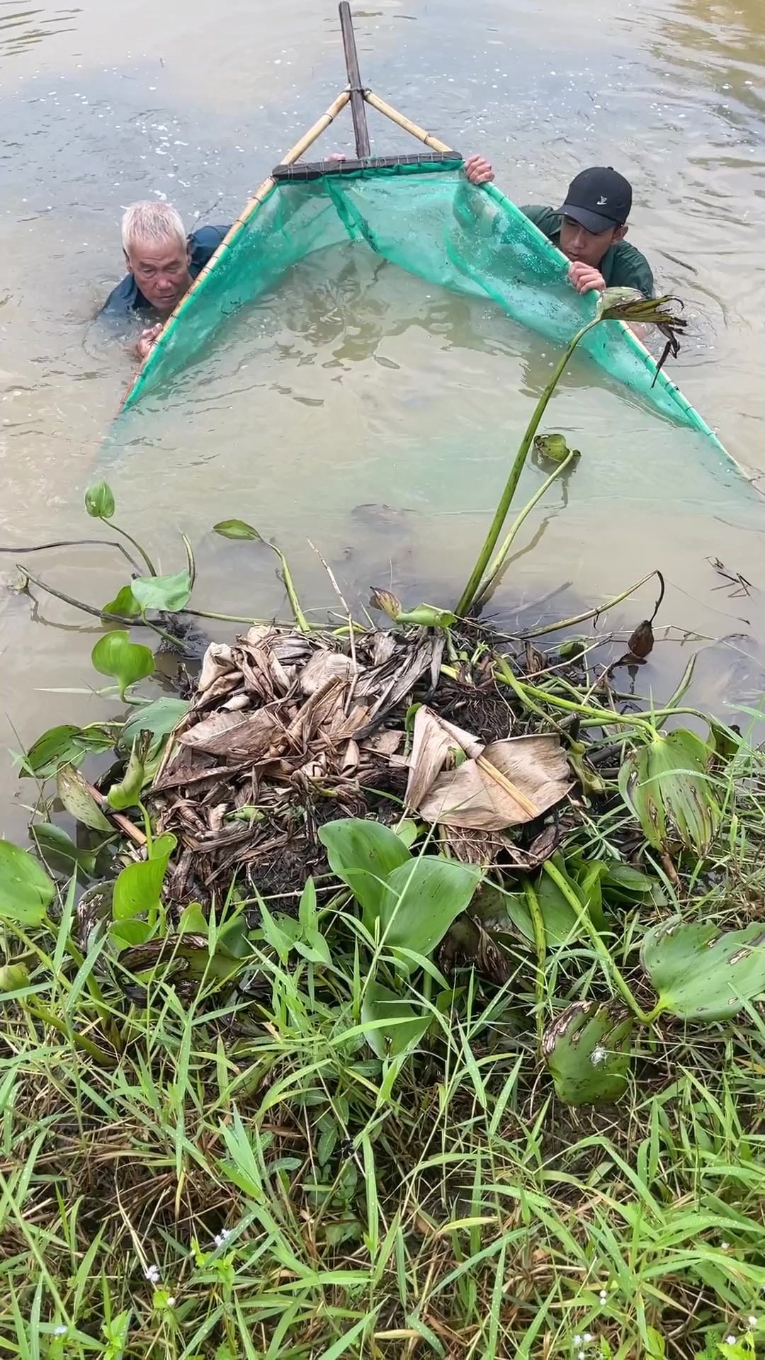 Grandpa makes unique fish trap technique to catch huge eel fish for ...