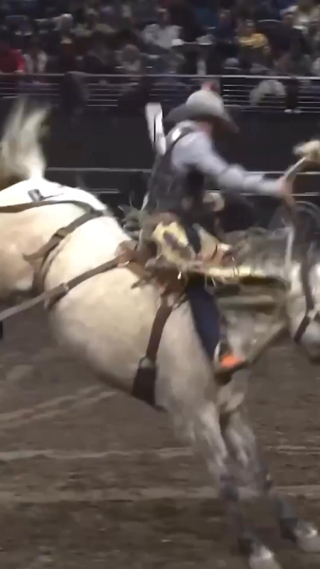 Sage Newman ends the Rodeo Rapid City X Broncs with a bang! Newman ...