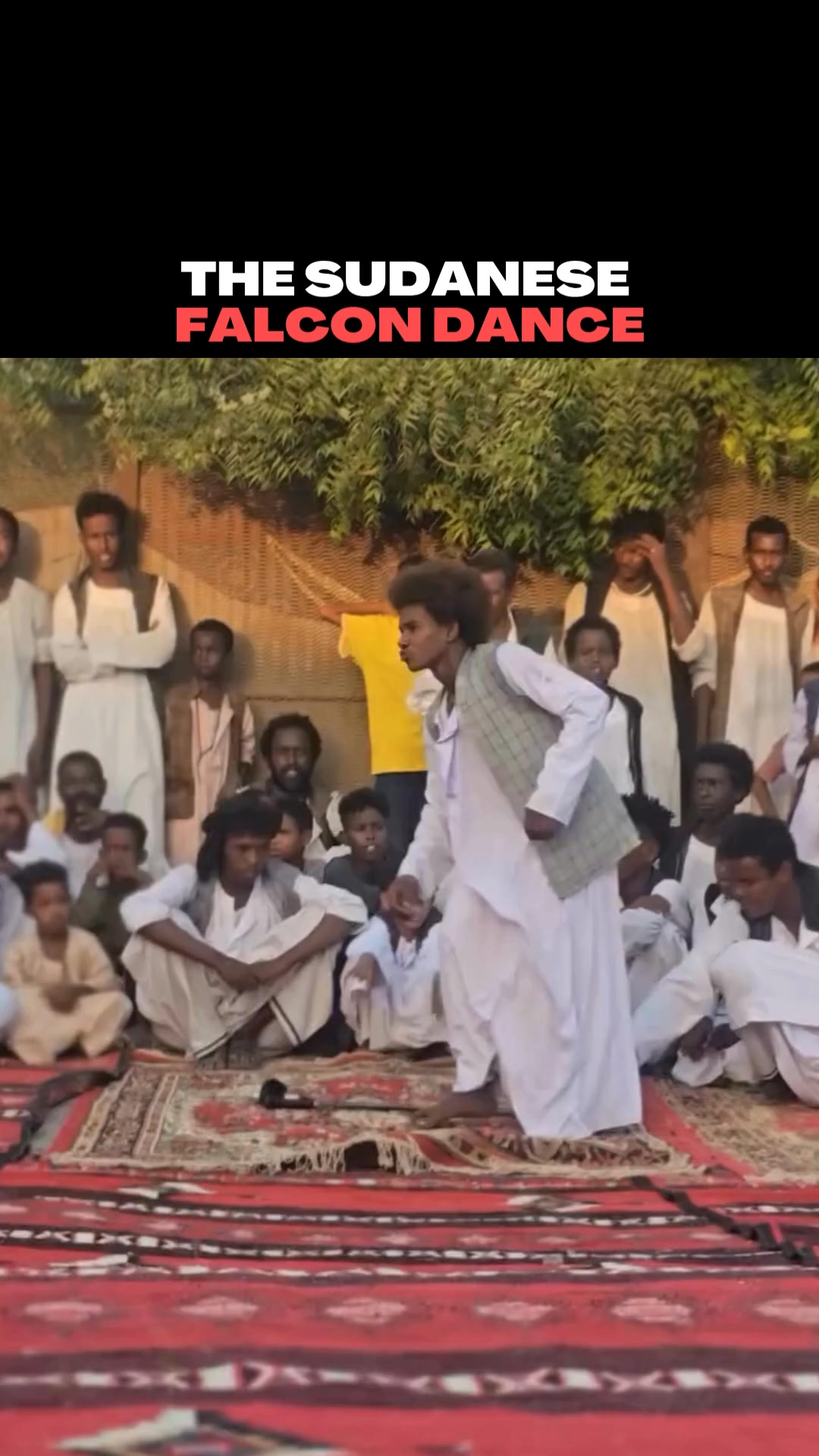 The Sudanese falcon dance! #culture... - Unrestricted Borders | Facebook