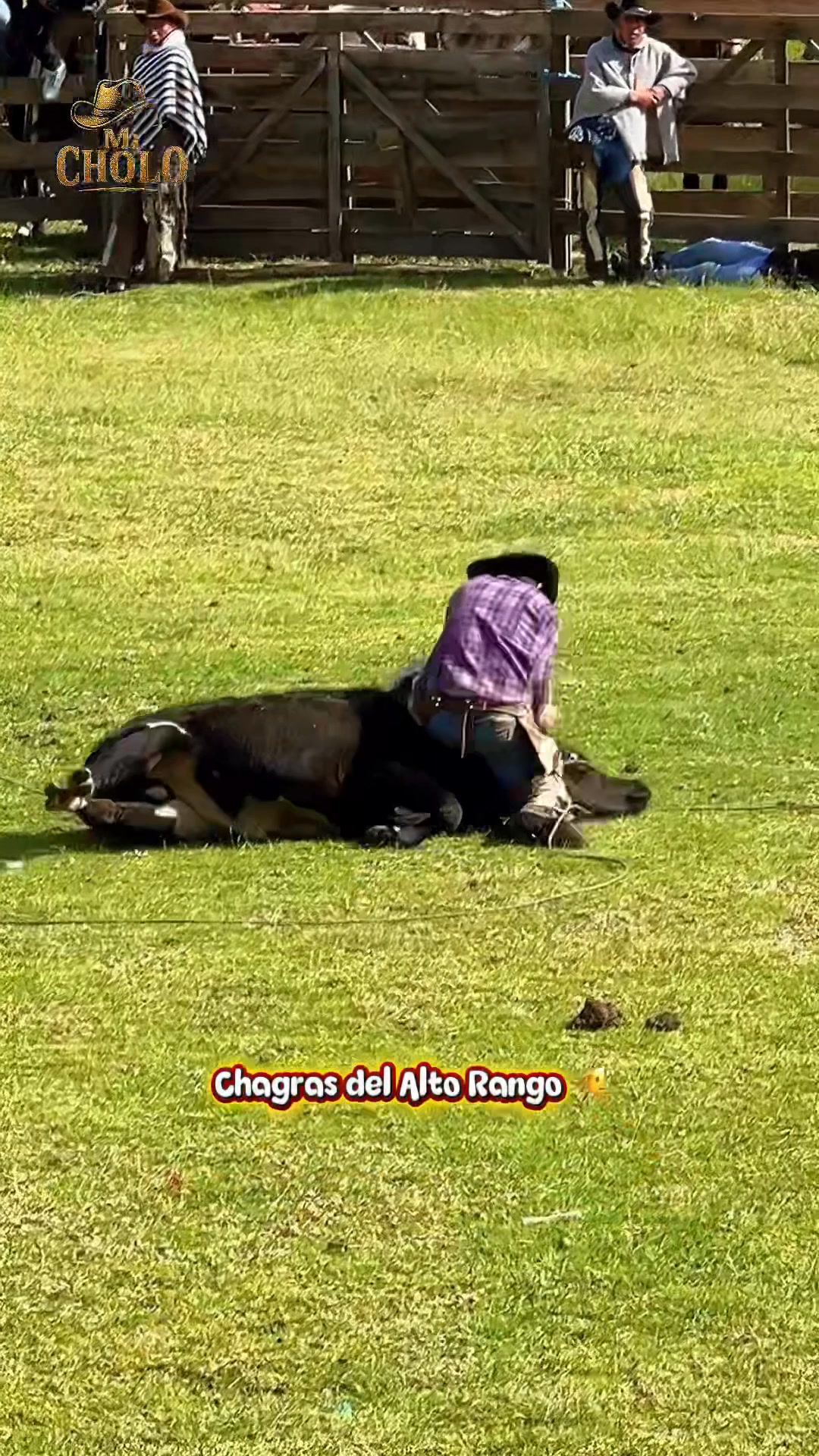 Chagras del Alto rango 🫡 #fblifestyle #reelsviralt | MiCholo | Facebook