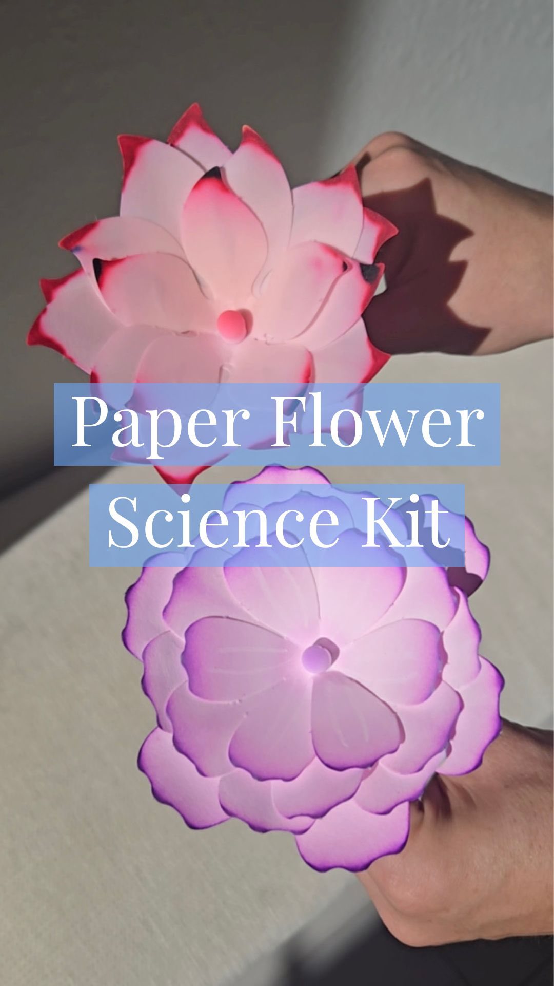 A paper flower science kit 🔬🌻 . . Comment FLOWER to see more info (got ...