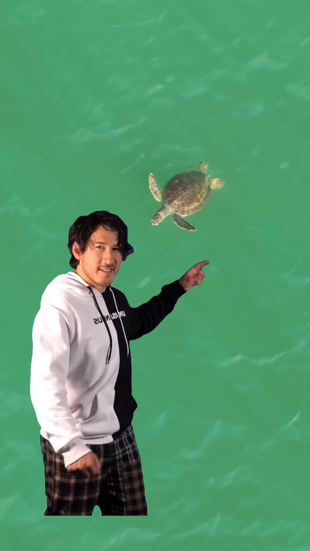 Are Sea Turtles your favorite? 𓆉 | Salty Sea Adventures | Facebook