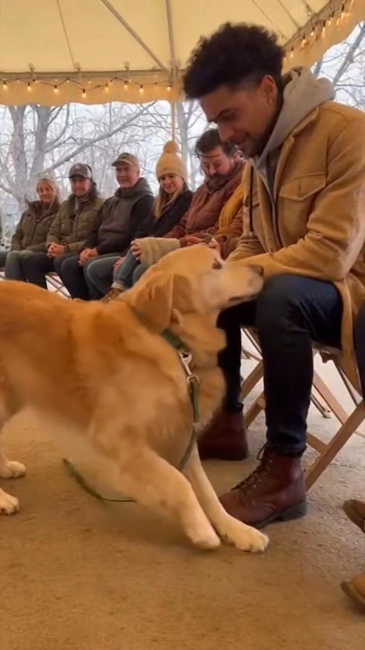 A shelter adoption event where dozens of people sit quietly and one dog ...