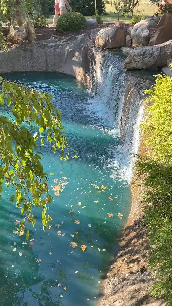 Can you believe this view exists at the Mizumoto Japanese Stroll