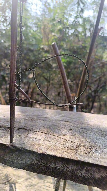 A spring-loaded rope snare with a treadle mechanism. #Handcrafted # ...