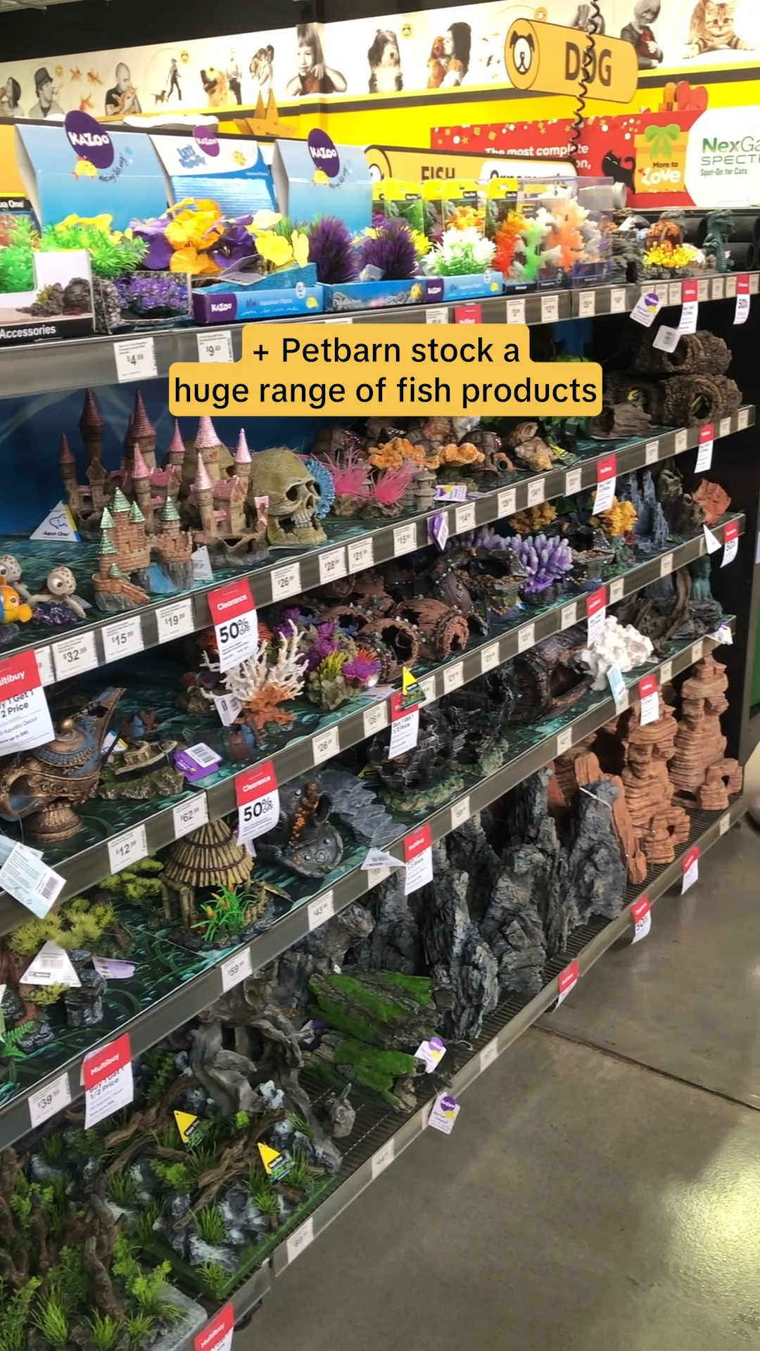 fish tank accessories petbarn OrnaMounts Aquarium Decor Magnetic Driftwood Outcropping Ornament Wall-Mounted Accessory : Pet Supplies these barrels become covered with colorful coral Mini Decorations for Fish Tanks