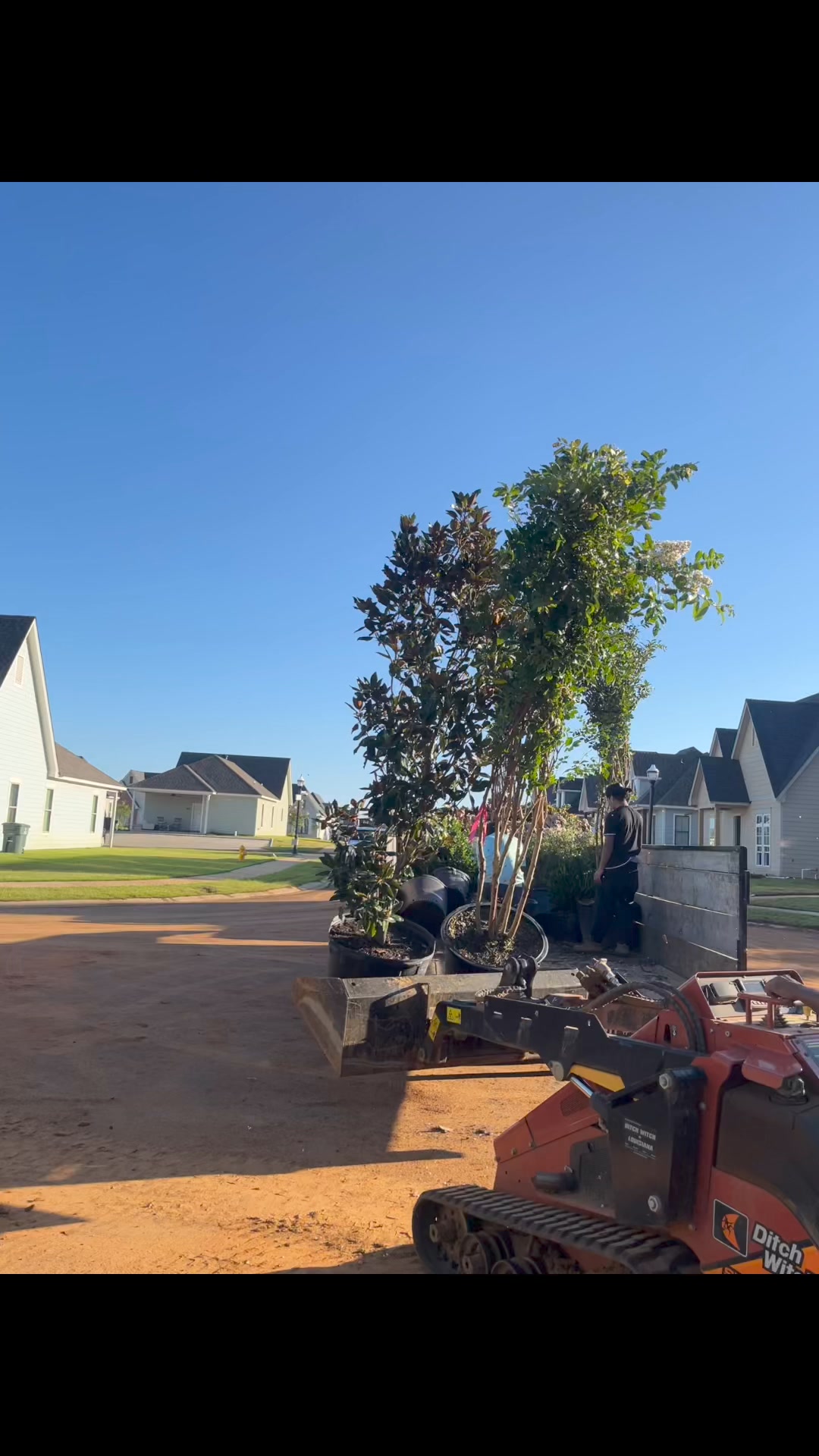 Isla construction and landscaping LLC | Choudrant LA