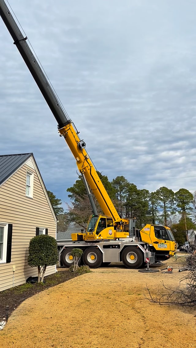 Kravitz Tree Service LLC on Reels | Facebook