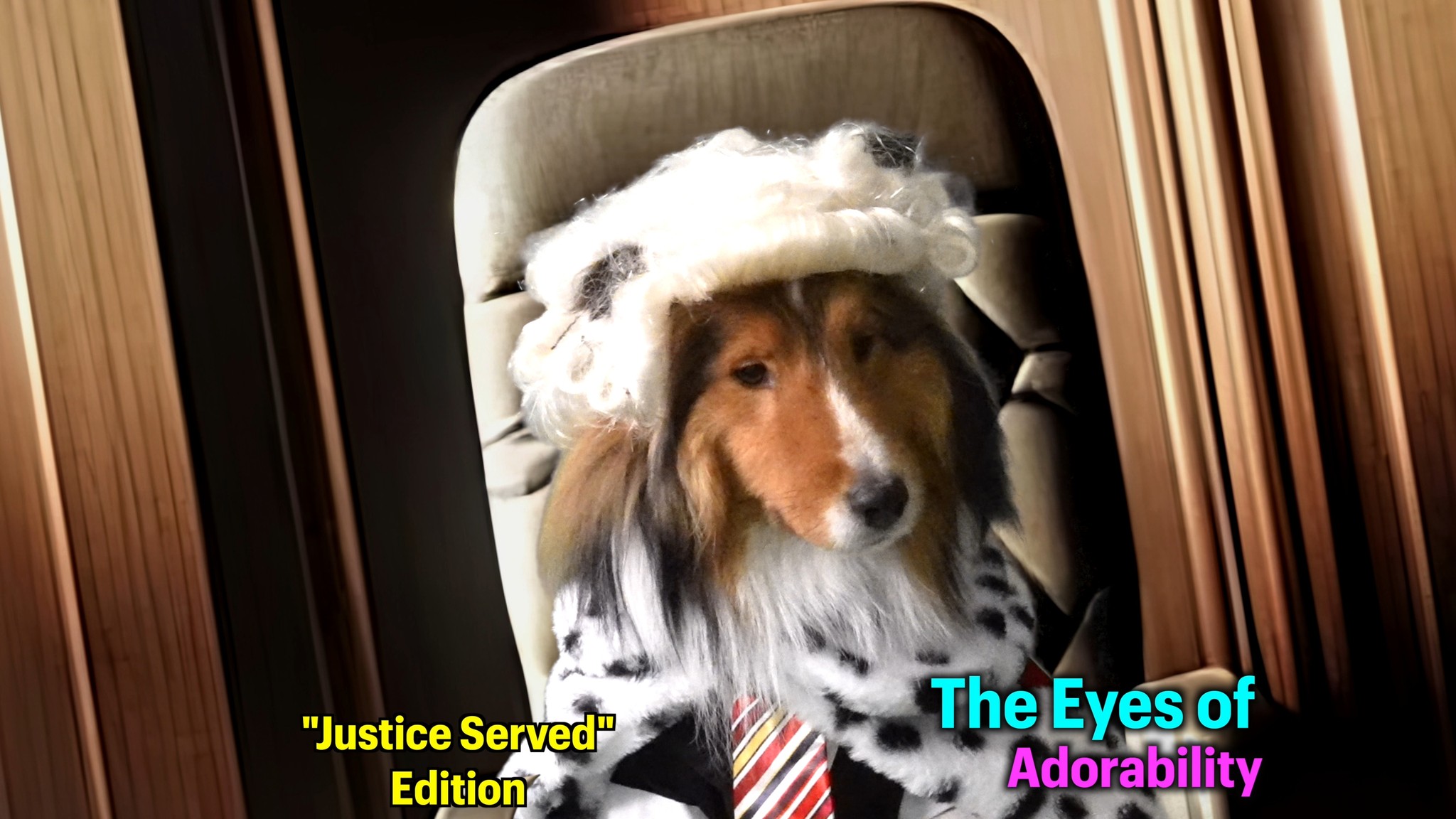 Join Biscuit the crazy Sheltie in the latest episode of The Cricket ...