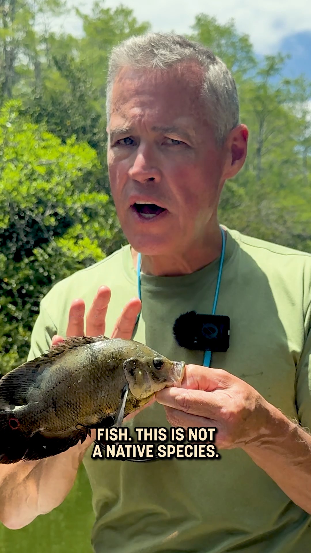 Watch Wildlife Nation: Expedition Florida this weekend on ABC! 🐟🌿 ...