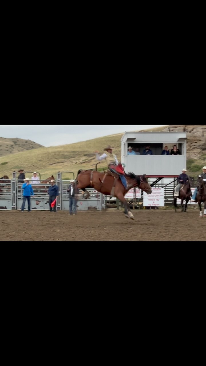 Rode a good one this weekend at the high school rodeo in Cardston ...