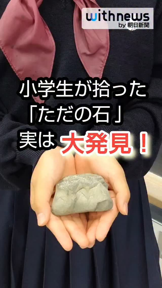 小学6年生が河原で拾った一見どこにでもある「ただの石」。実は、非常