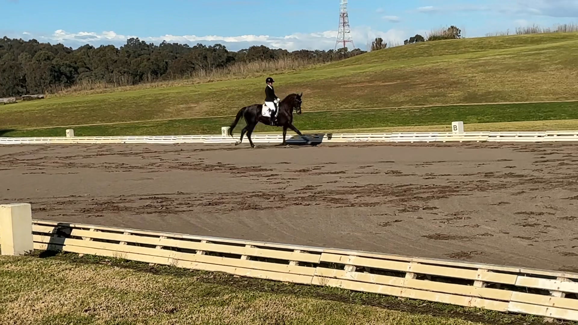 Wow wow superstars 🤩 first outing for our young mare Bluefields Reve ...