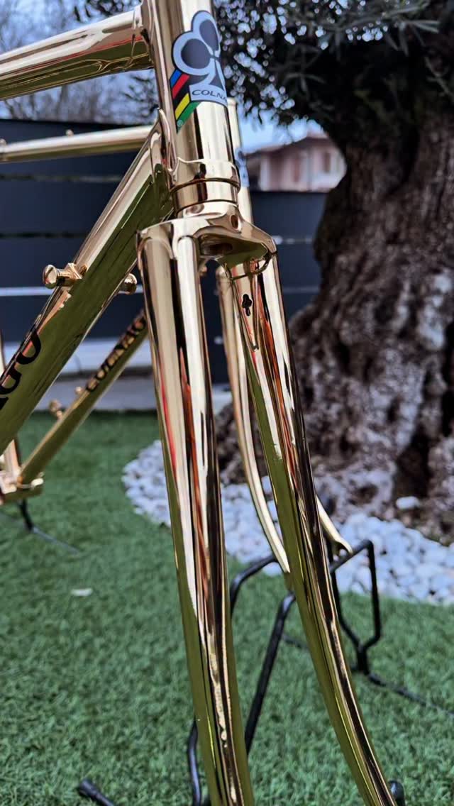 Vintage Colnago Gold Frame ✨ Timeless elegance and pure Italian
