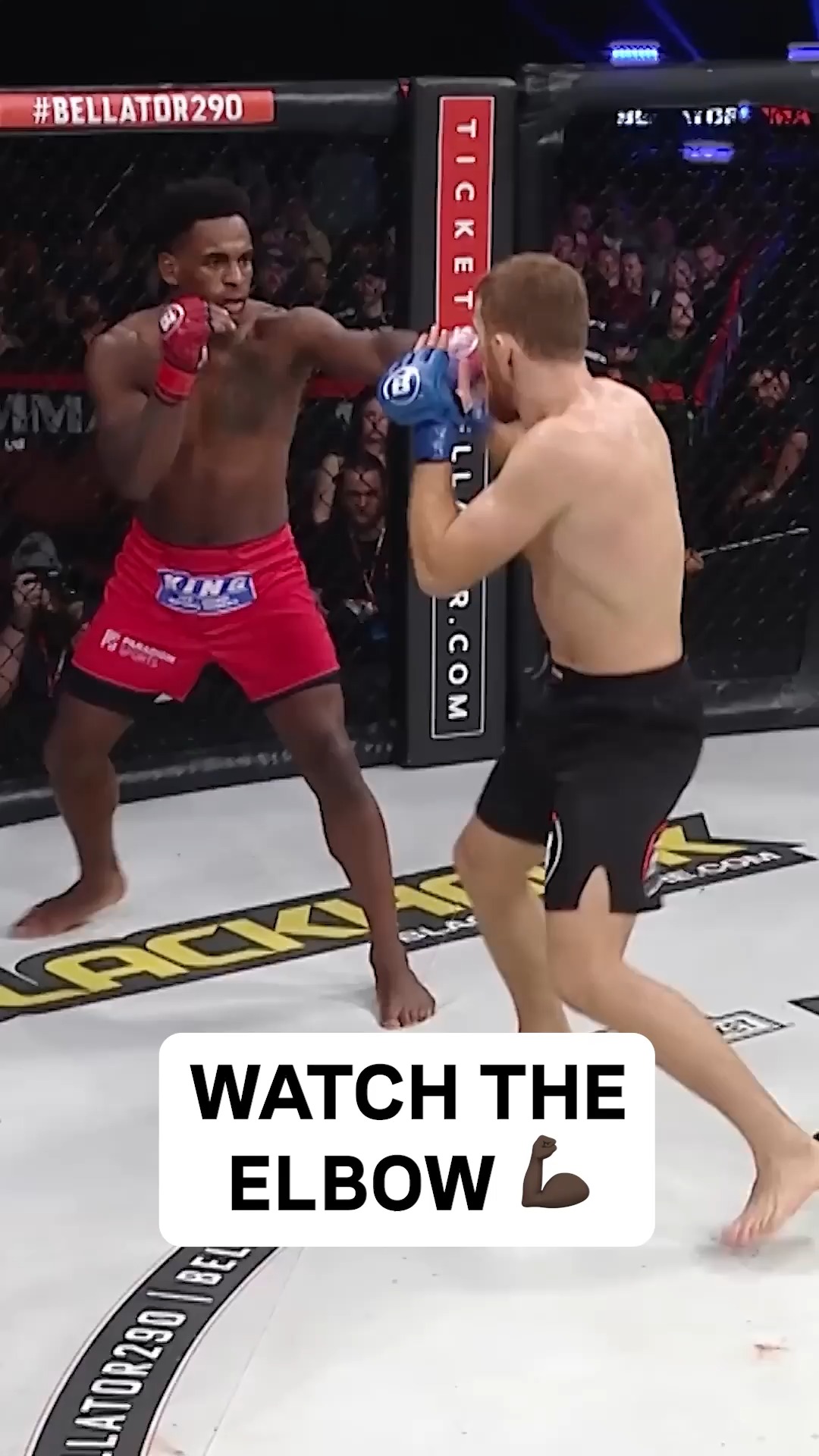Bellator MMA (@BellatorMMA) • Facebook