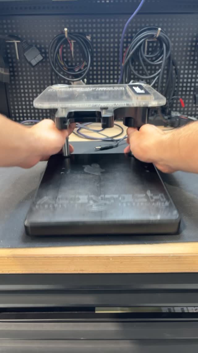 423833_6