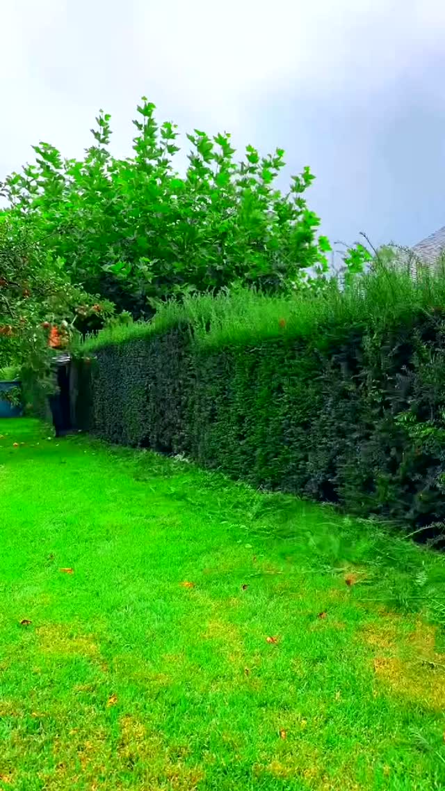 Enjoyable 💕💕 #garden #gardening #gardendesign #gardenlove #gardener # ...
