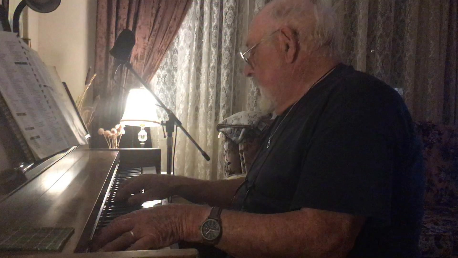 A little dinner music I offered at the Holiday Inn dining room On a few ...