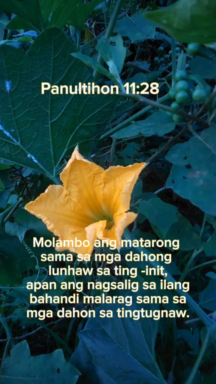 Ang kinabuhi nga nakagamot sa Ginoo, kanunayng presko ug lunhaw. # ...