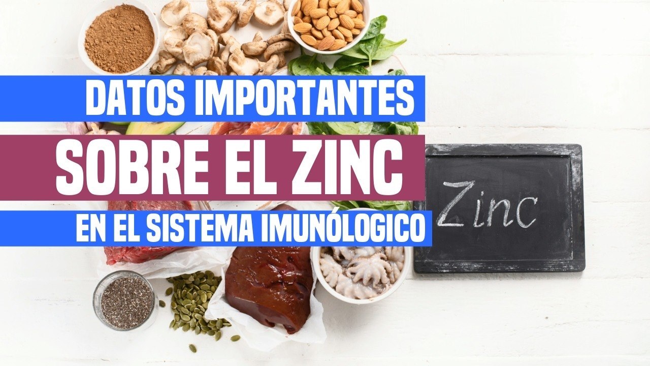 Bio Slender | Quito