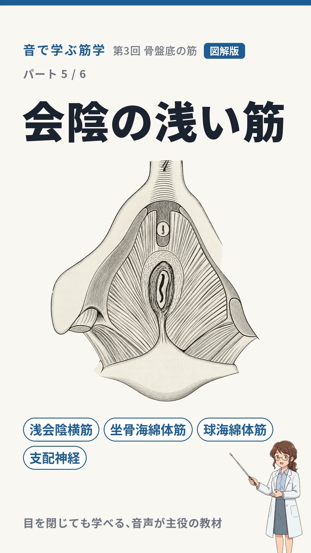 あと3日・8/31(月)まで 各¥1,500】理由で解く／教科書ドリル 全13
