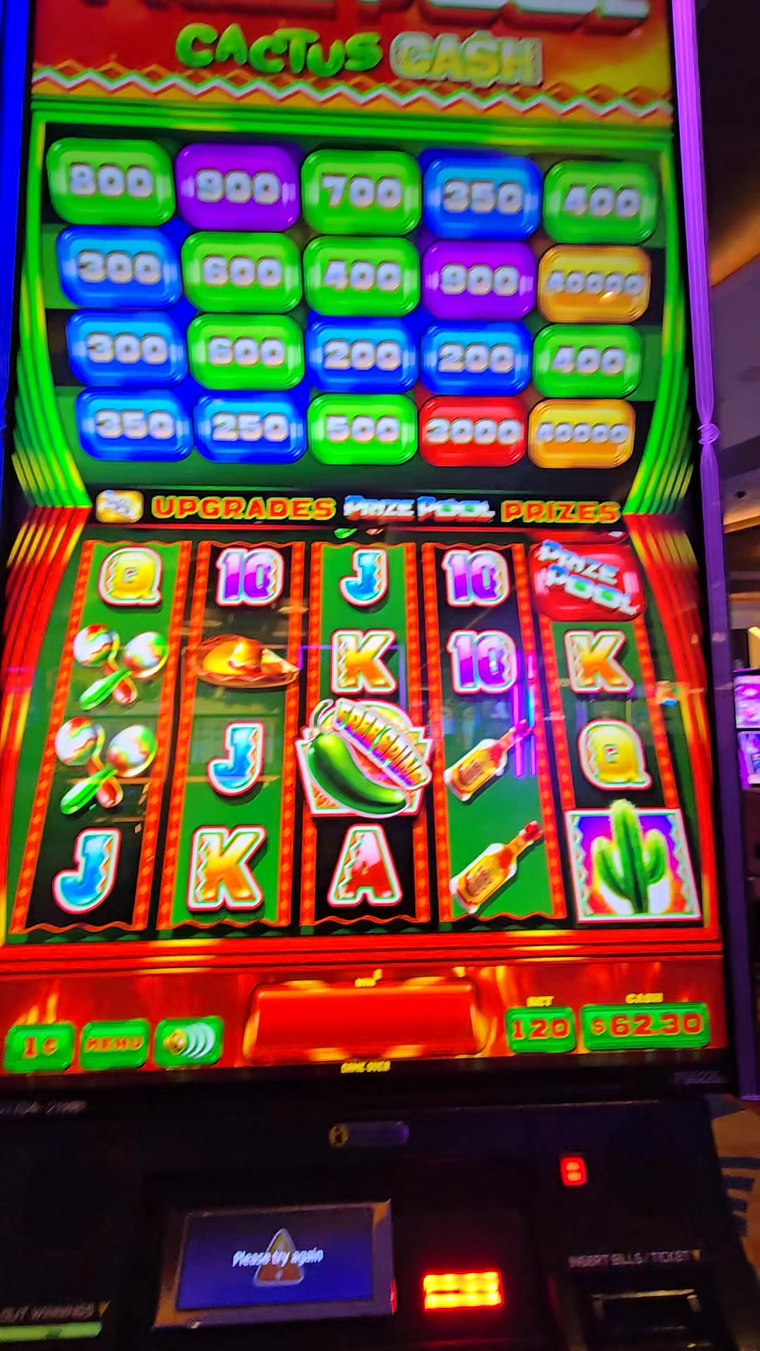 Gry hazardowe w Cactus Casino: przegląd dla graczy