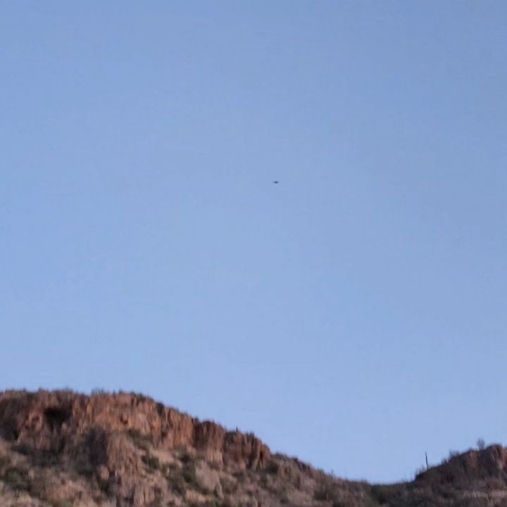 Arizona Bat Rescue on Reels | Facebook