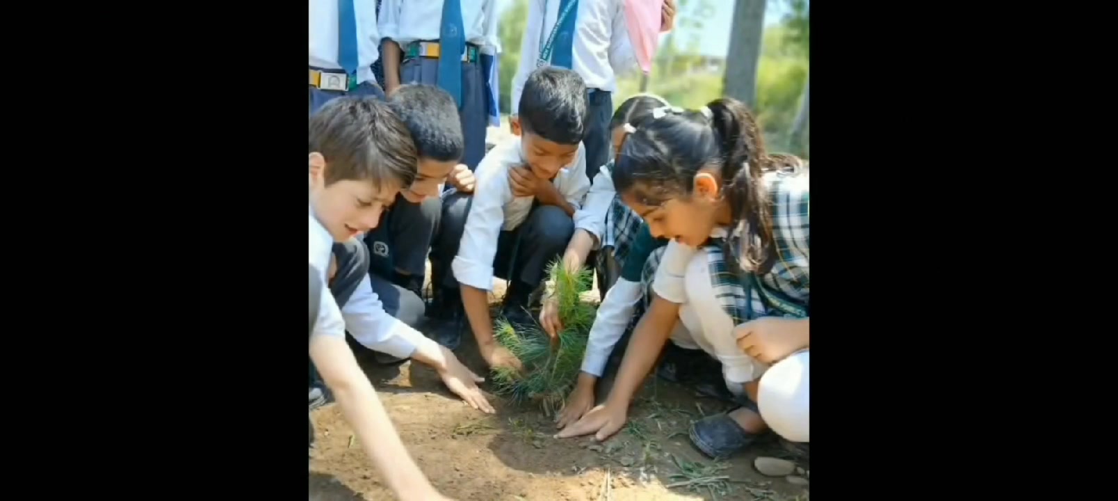 New Handwara Public School Handwara. | Handwara