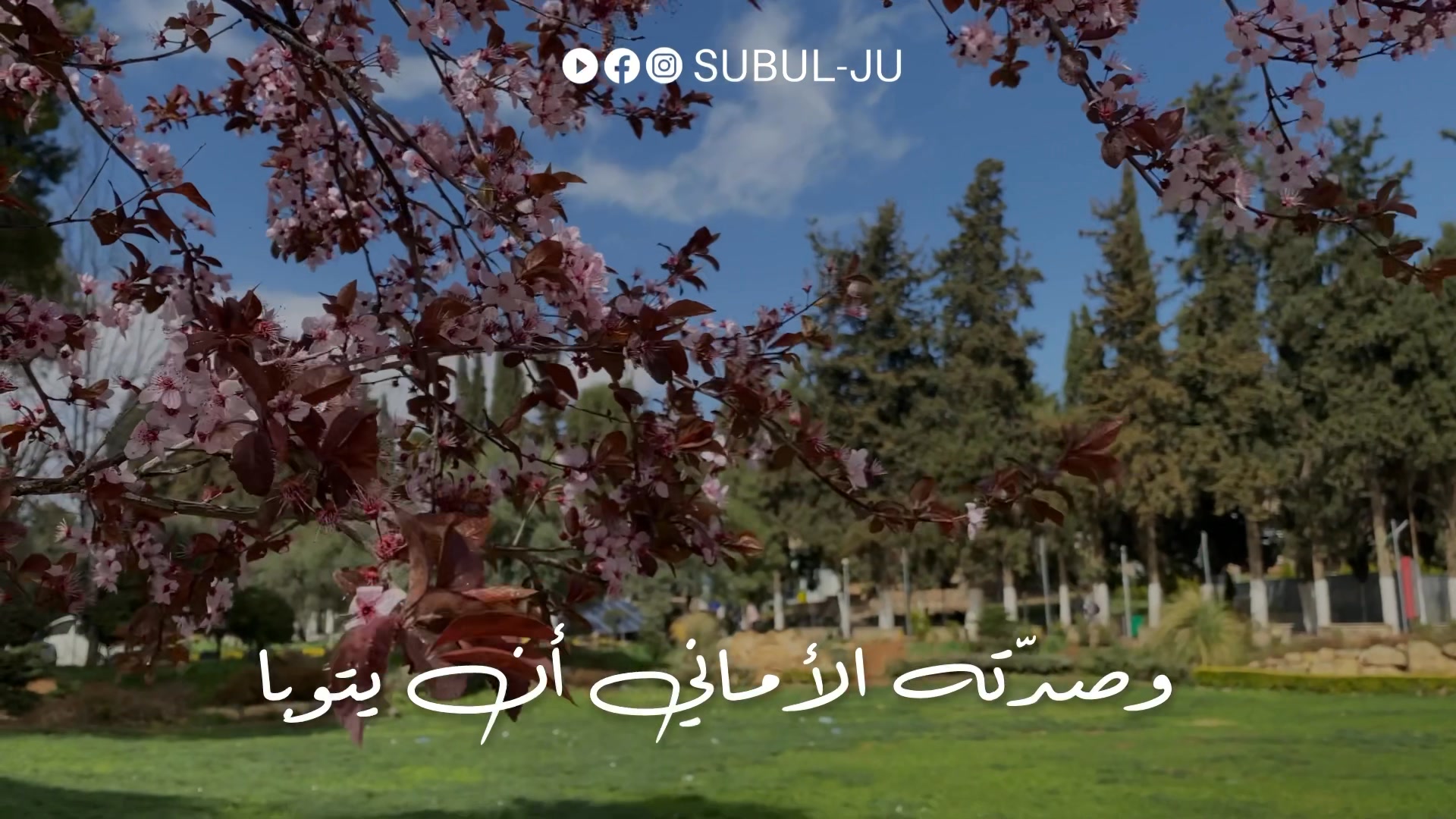 يا شباب.. جزءٌ كبير من انطفاء دواخلنا وهشاشة نفوسنا، ذنوب ضعفنا أمامها ...