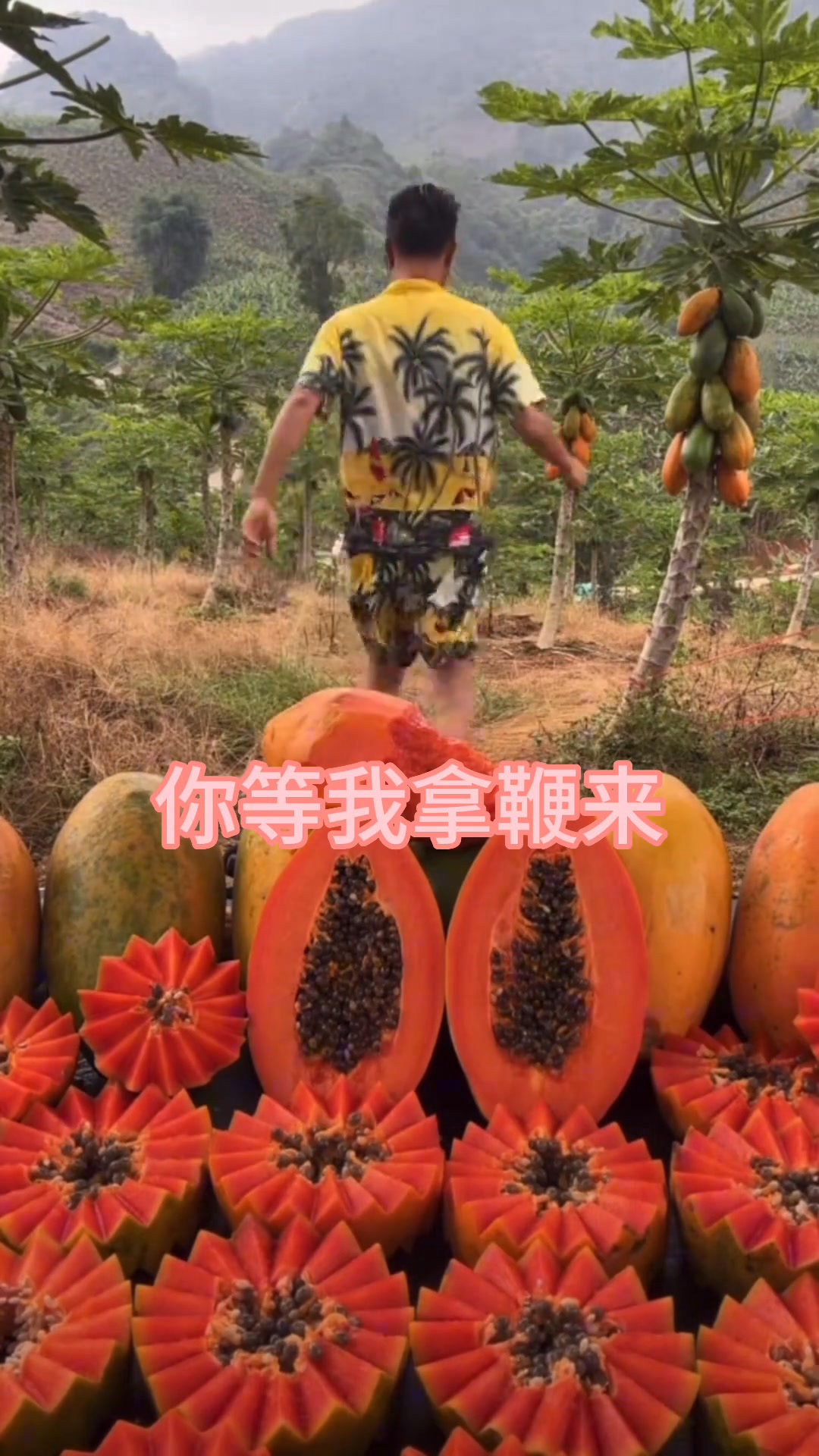 表哥你喜欢男人不哈哈 #欢仔表哥 #看一遍笑一遍 #水果木瓜 | 欢仔大表哥 | Facebook