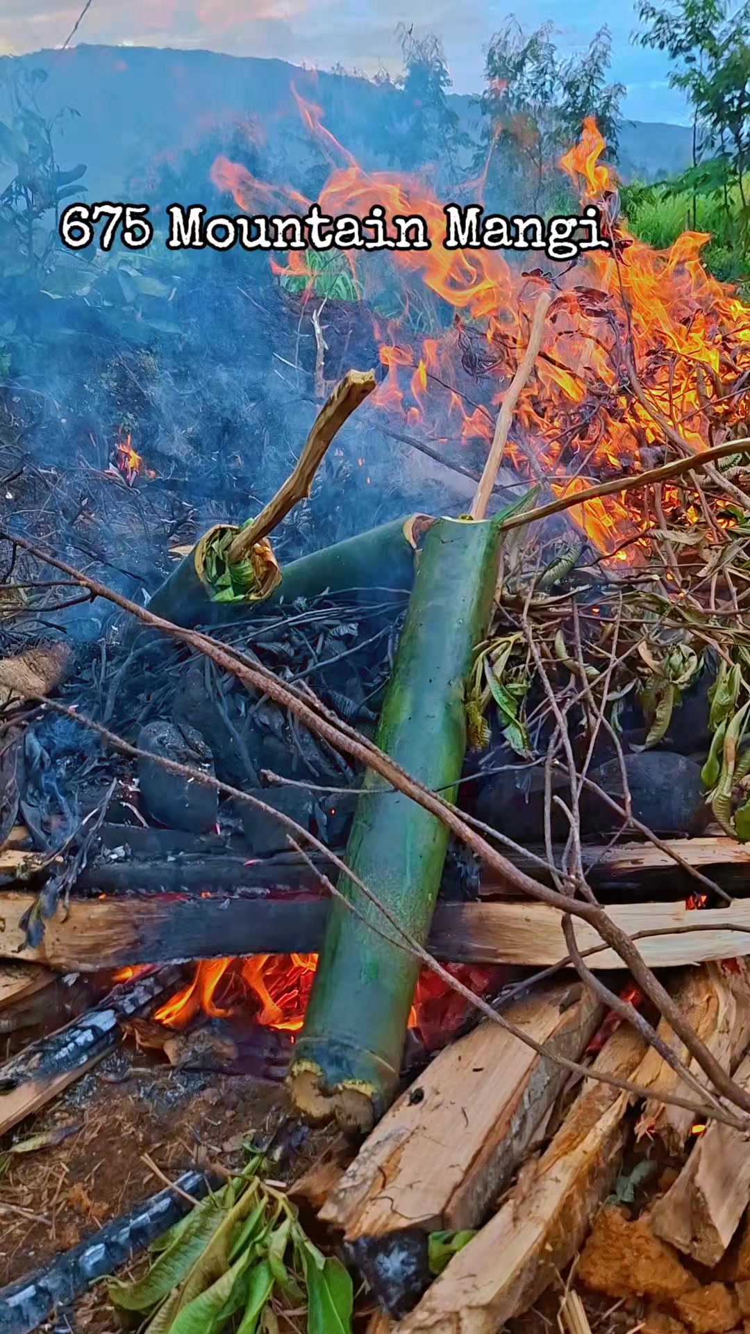 Highlands Bamboo Steak. #hilightseveryonefollowerseelsfypシ゚viralvideo ...