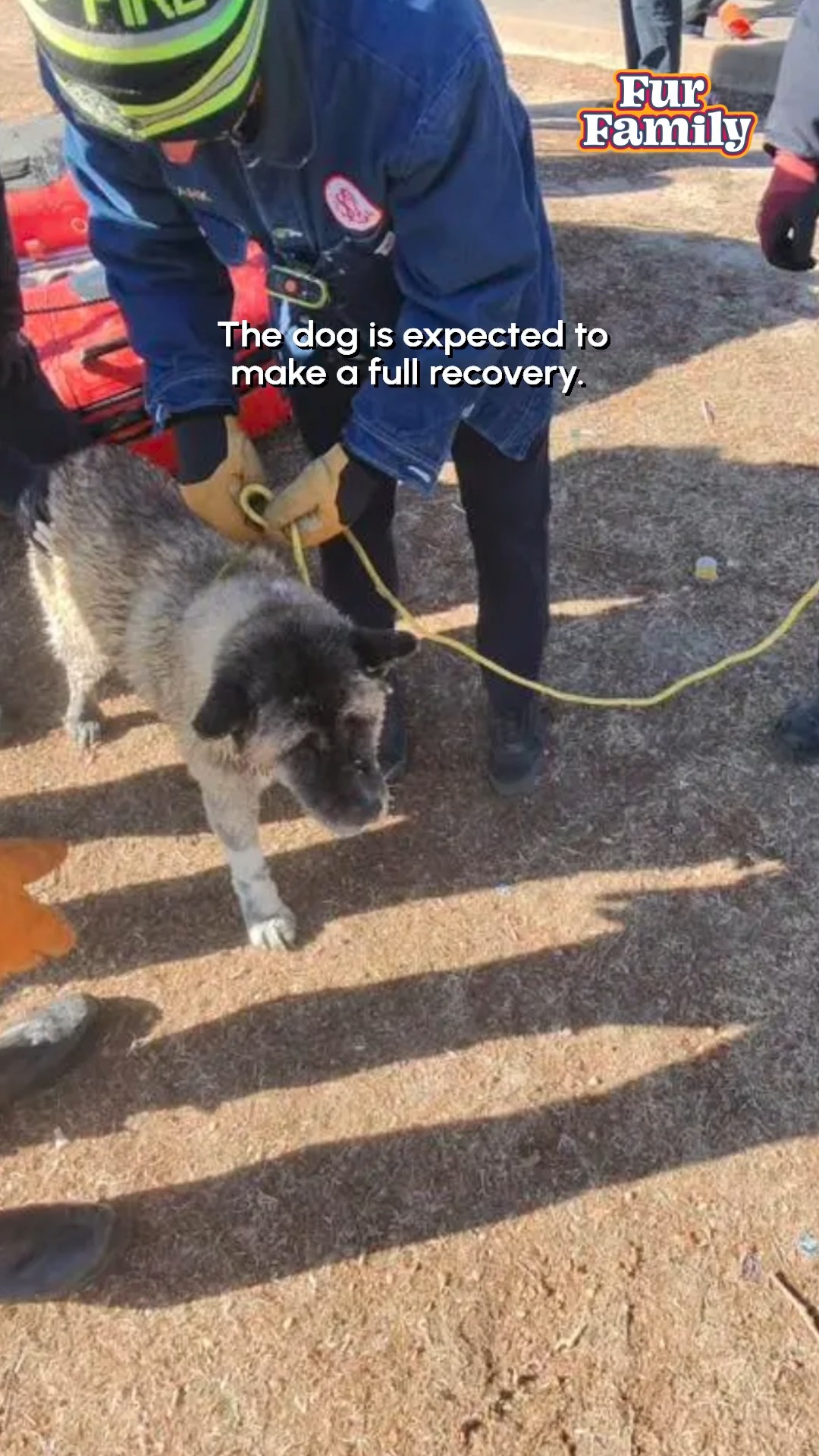 The St. Louis Fire Department were able to quickly complete this rescue ...